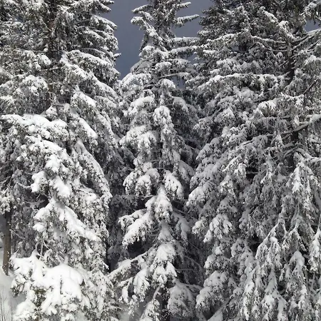 Glückliche Elfen Ferienhaus *