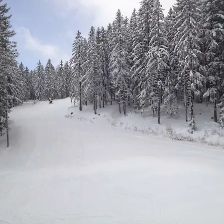 Glückliche Elfen * Sankt Kathrein am Hauenstein
