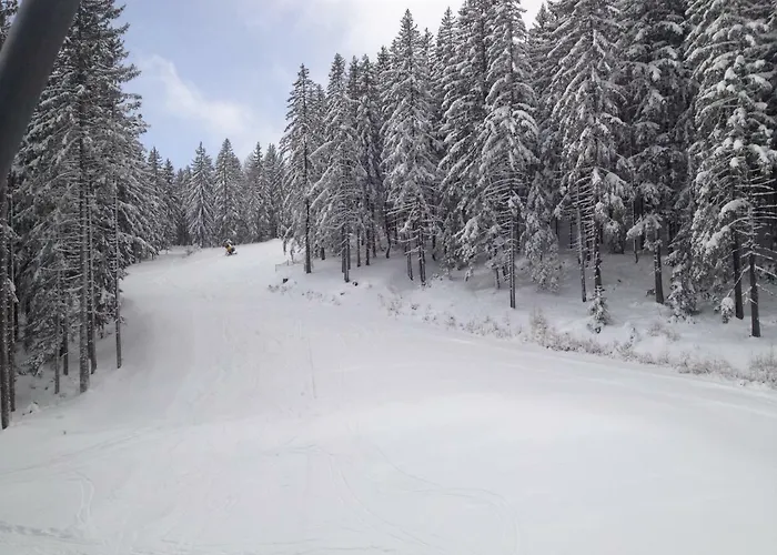 Glückliche Elfen * Sankt Kathrein am Hauenstein