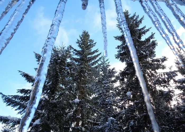 Glueckliche Elfen * سانكت كاثرين ام ها